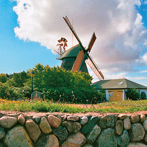 Windmühle Nebel